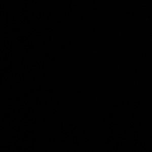 Meet your Posher, Bailey